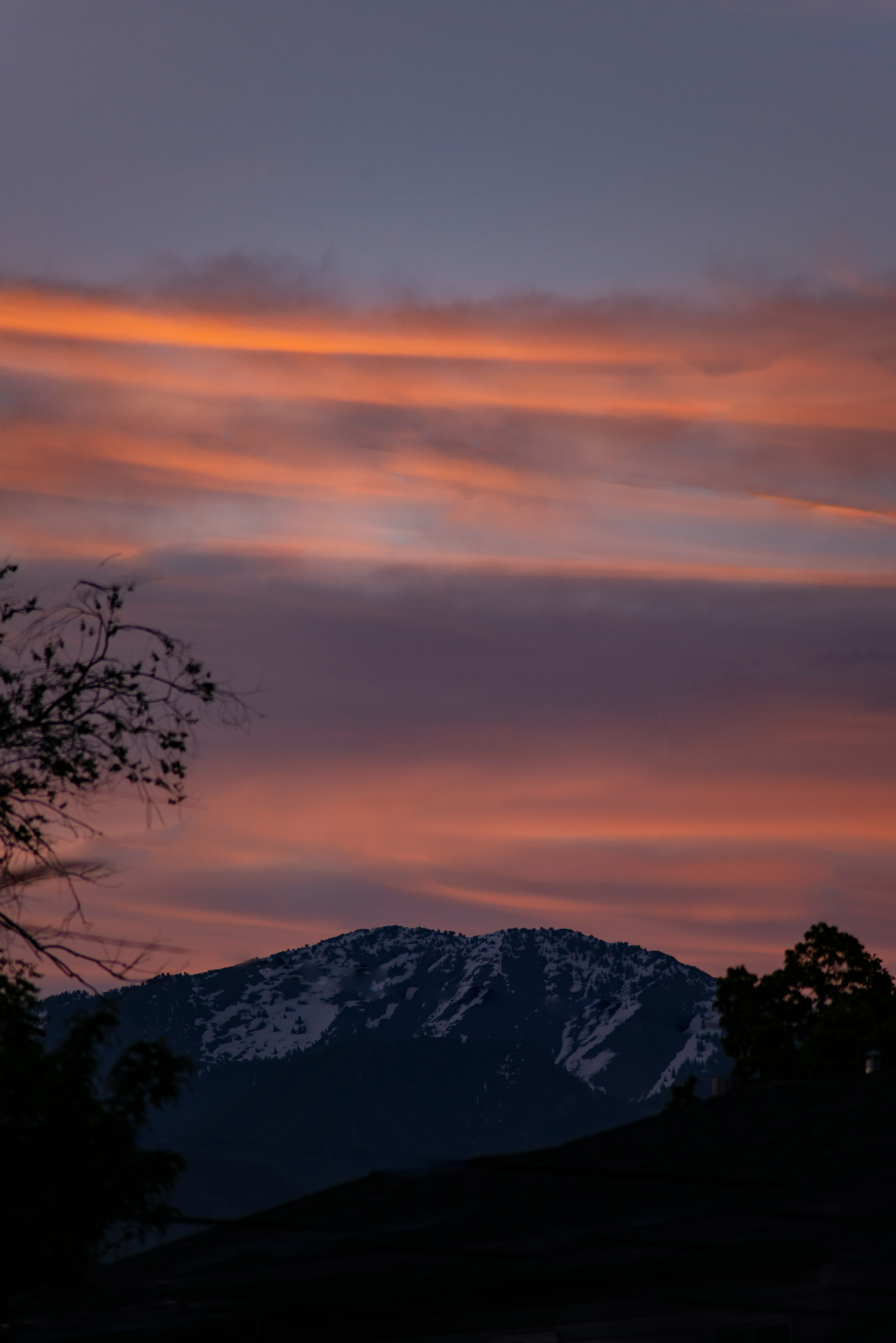 silhouette of trees and mountains during sunset